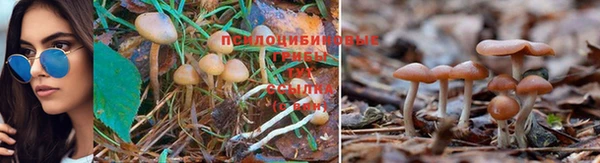 кристаллы Россошь