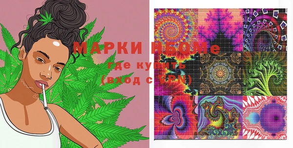 ГАЛЛЮЦИНОГЕННЫЕ ГРИБЫ Вязьма