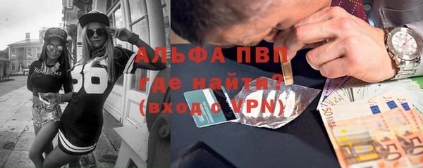ГАЛЛЮЦИНОГЕННЫЕ ГРИБЫ Вязьма